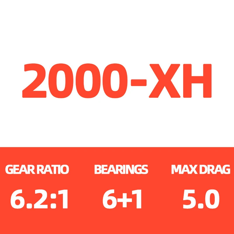 Moulinet DAIWA LEGALIS CS LT – Spinning Léger et Puissant – Frein Max 12 kg